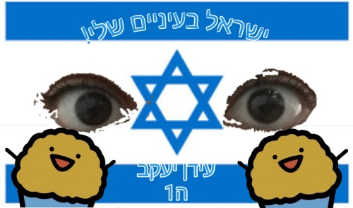 ישראל בעיניים שלי by idan - Ourboox.com