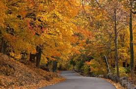 الخريف by ISRAA ABU SNINAH - Ourboox.com