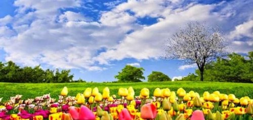 فصل الربيع by doaa abbasi - Ourboox.com