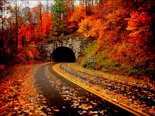 فصل الخريف by sireen masry - Ourboox.com