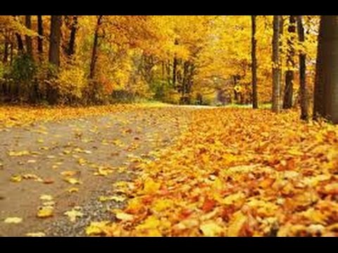 فصل الخريف by aysha aysha - Ourboox.com