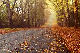 الخريف by ISRAA ABU SNINAH - Ourboox.com