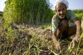 اغنية المغيب by fransis roshrosh - Illustrated by dr. fransis roshrosh - Ourboox.com