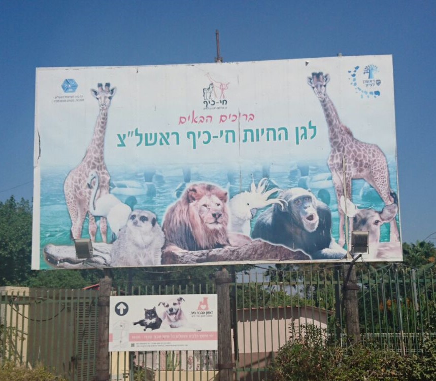 ספר החיות שלי by תלמיד  - Ourboox.com