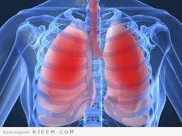 الجهاز التنفسي by Sondos Asella - Ourboox.com