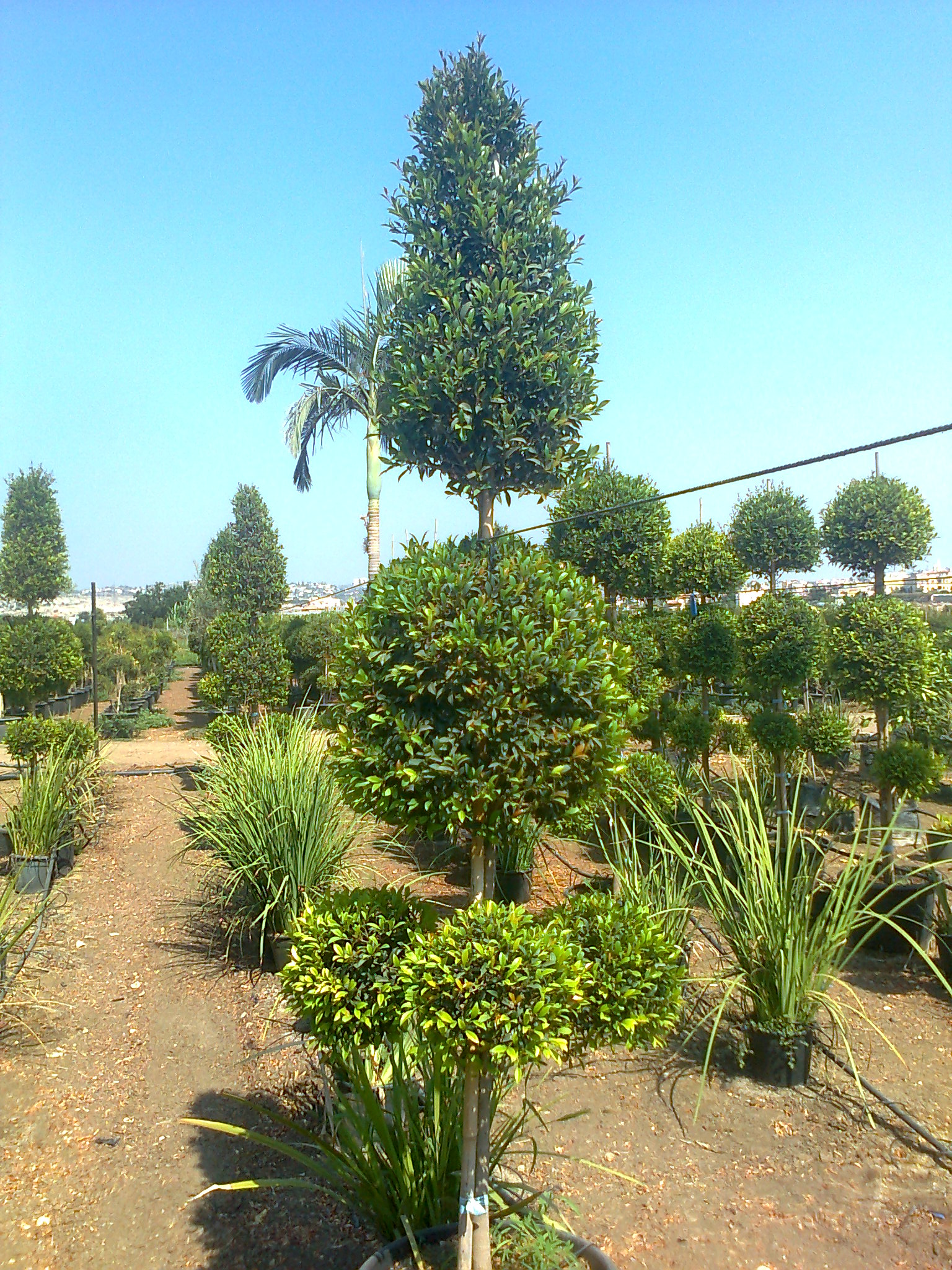 כתיבת ספר דיגטלי by orly - Ourboox.com