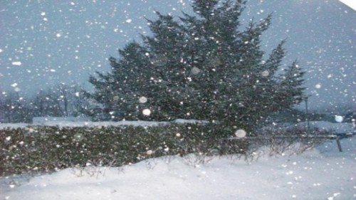 فصل الشتاء by laila saleem - Ourboox.com