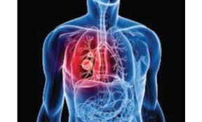 الجهاز التنفسي by Sondos Asella - Ourboox.com