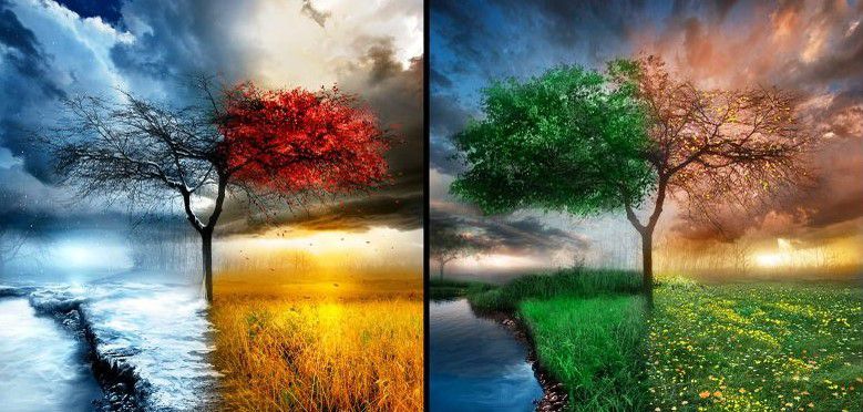 الفصول الاربعة by enas.jam - Illustrated by ايناس جمجوم - Ourboox.com