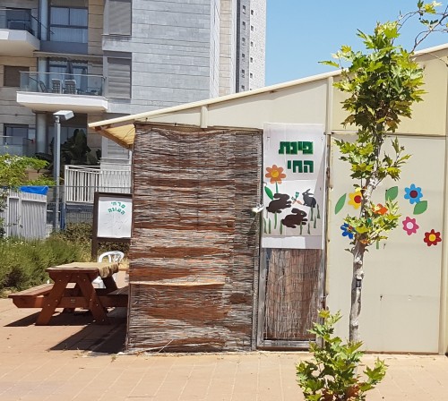 ספר החיות שלי by תלמיד  - Ourboox.com