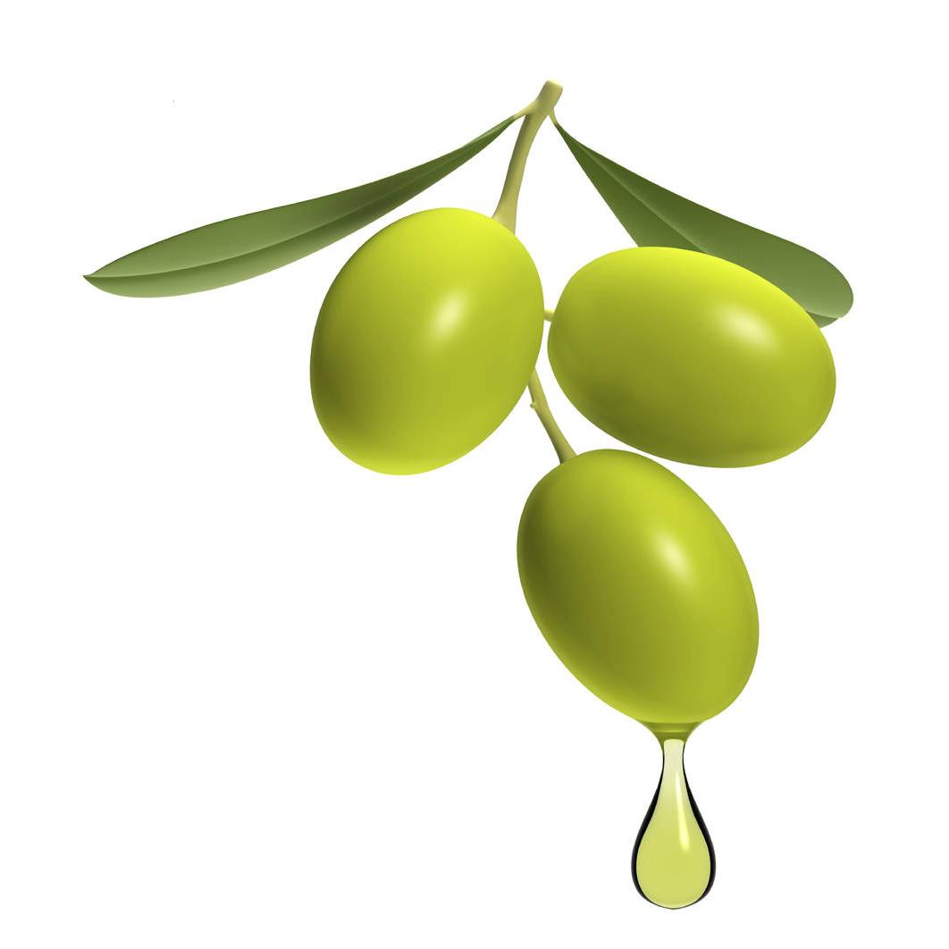 زيت by Sarah Dajani - Illustrated by Sarah Dajani - Ourboox.com