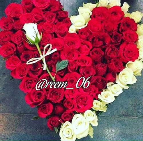 الورد by tasneem sarandh - Ourboox.com