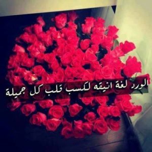 الورد by tasneem sarandh - Ourboox.com