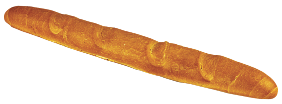 גן המעיין המסתורי-מגישים שיר ומרום כיתה ד’2 by beeri - Ourboox.com