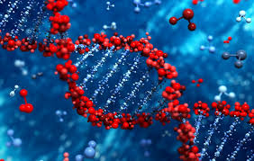 هندسة الجينات by batool shalodi - Ourboox.com