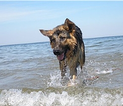 LIRAN DAYAN by LIRAN DAYAN - Ourboox.com