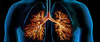 الجهاز التنفسي by amoon sh - Ourboox.com