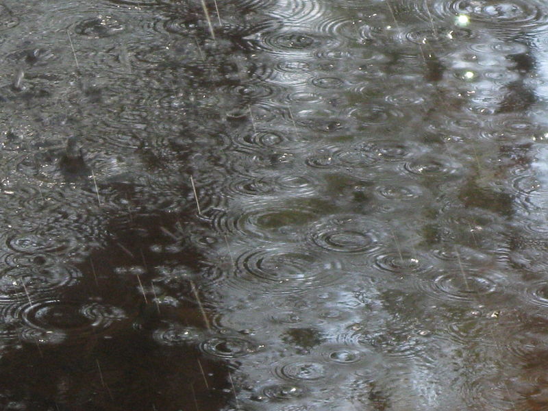 yatzeti letyel by dana - Ourboox.com