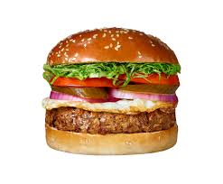 Ravit & Mor’s Book by Mor Alonia - Ourboox.com