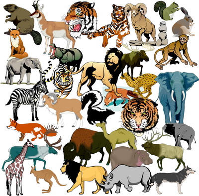 Практичний посібник для вихователів та батьків на тему “Мешканці лісу” by Tanya Kobylynska - Ourboox.com