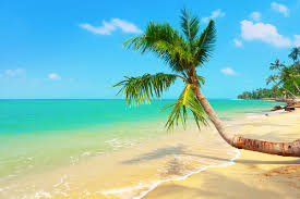 The beach by Rachel zalmanovich - Ourboox.com