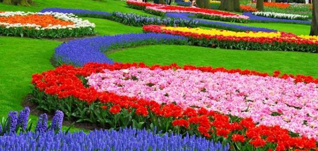 فصل الخريف by salam - Ourboox.com