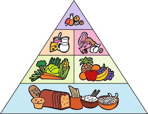الهرم الغذائي by mariana risheq - Ourboox.com