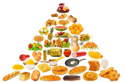 الهرم الغذائي by mariana risheq - Ourboox.com