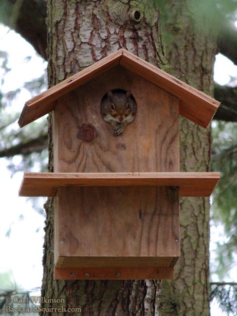 Hello World by amanda caplan - Ourboox.com