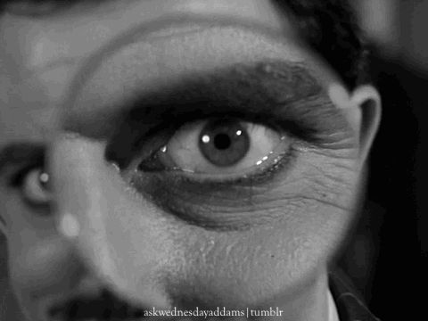 Mr. Know all – the truth story by Alon ziv - Ourboox.com