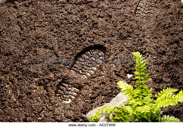The Garbage Bags by hagar rozen ozer - Ourboox.com