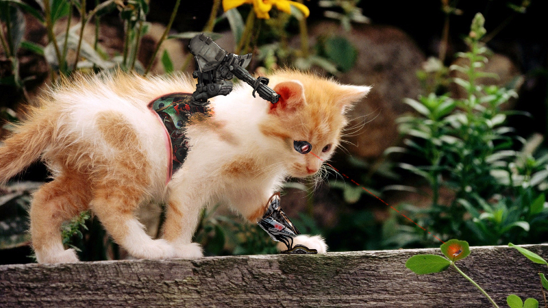 החתול הרובוטי by michael - Ourboox.com