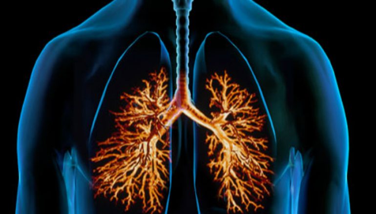 الجهاز التنفسي by bara shweiki - Ourboox.com