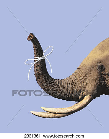 אני קורא by kkh ze - Ourboox.com