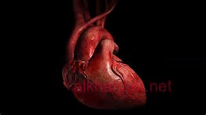 عن القلب by narmeen - Illustrated by نرمين ابورمضان - Ourboox.com