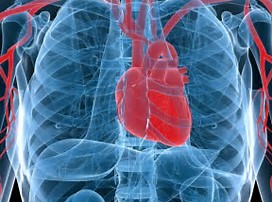 عن القلب by narmeen - Illustrated by نرمين ابورمضان - Ourboox.com