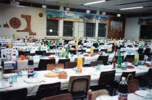 Mr.Know All by noabida - Illustrated by Noa Bida - Ourboox.com