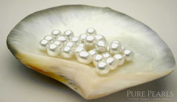 Mr Kelada’s point of view- By Yotam Peleg by Yotam Peleg - Illustrated by Yotam Peleg - Ourboox.com