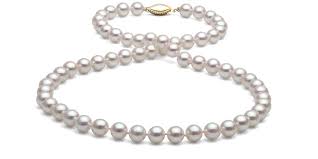 mr know all by omri sivan - Ourboox.com