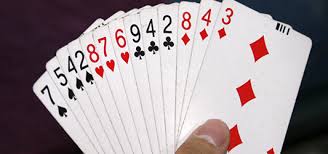 Mr Know everything by Ariel Sacagiu - Ourboox.com