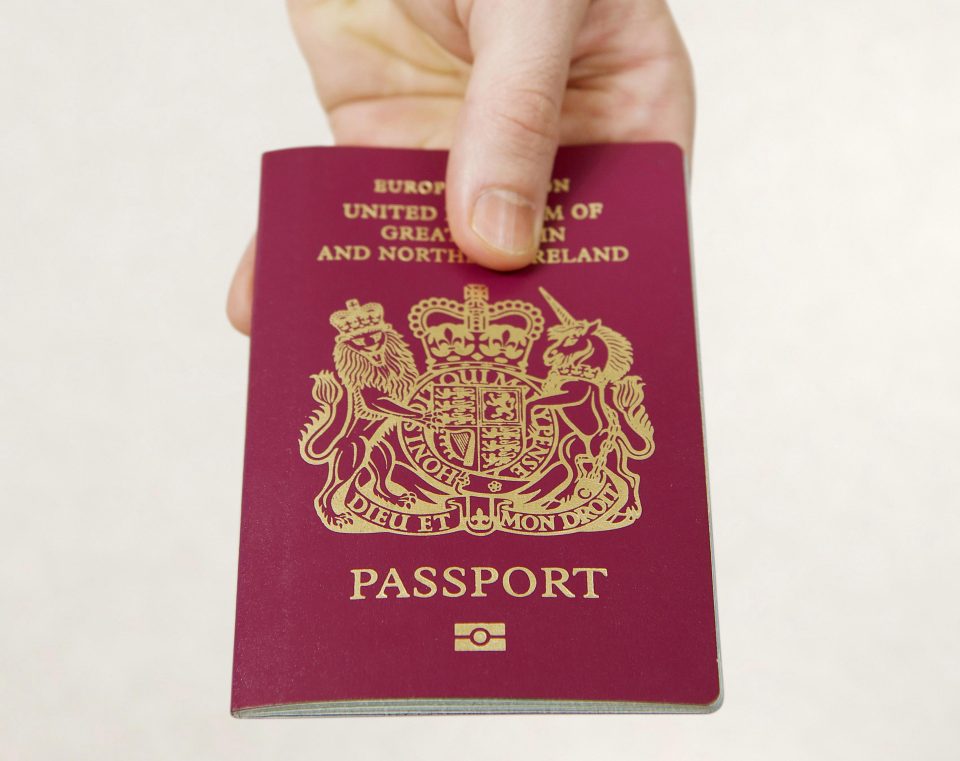 Mr Know All by amir ovadia - Ourboox.com