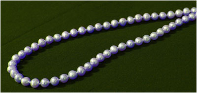 Mr Know everything by Ariel Sacagiu - Ourboox.com