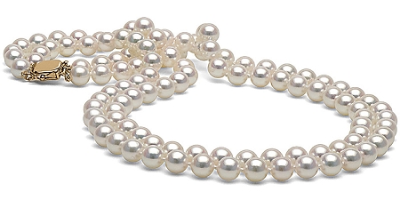 Mr Know-All- Mr. Max Kelada prospective by ido dar - Ourboox.com