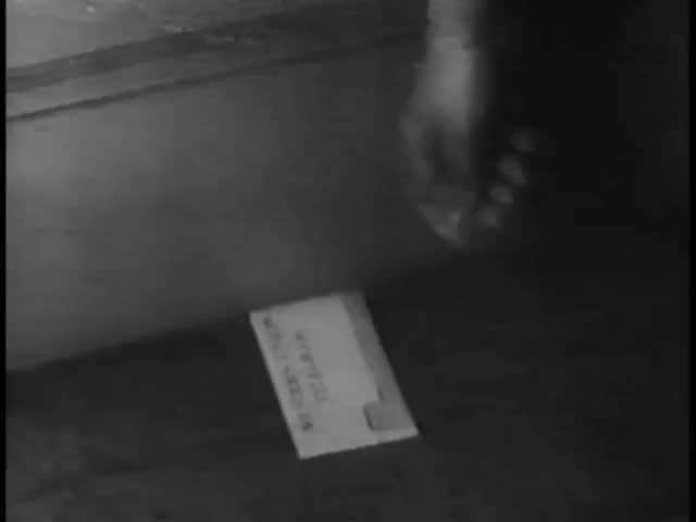 Max Kelada’s Diary by Yuval Arion - Ourboox.com