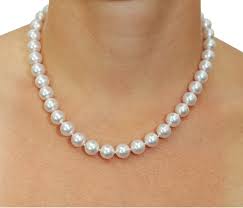 Mr Know All by amir ovadia - Ourboox.com