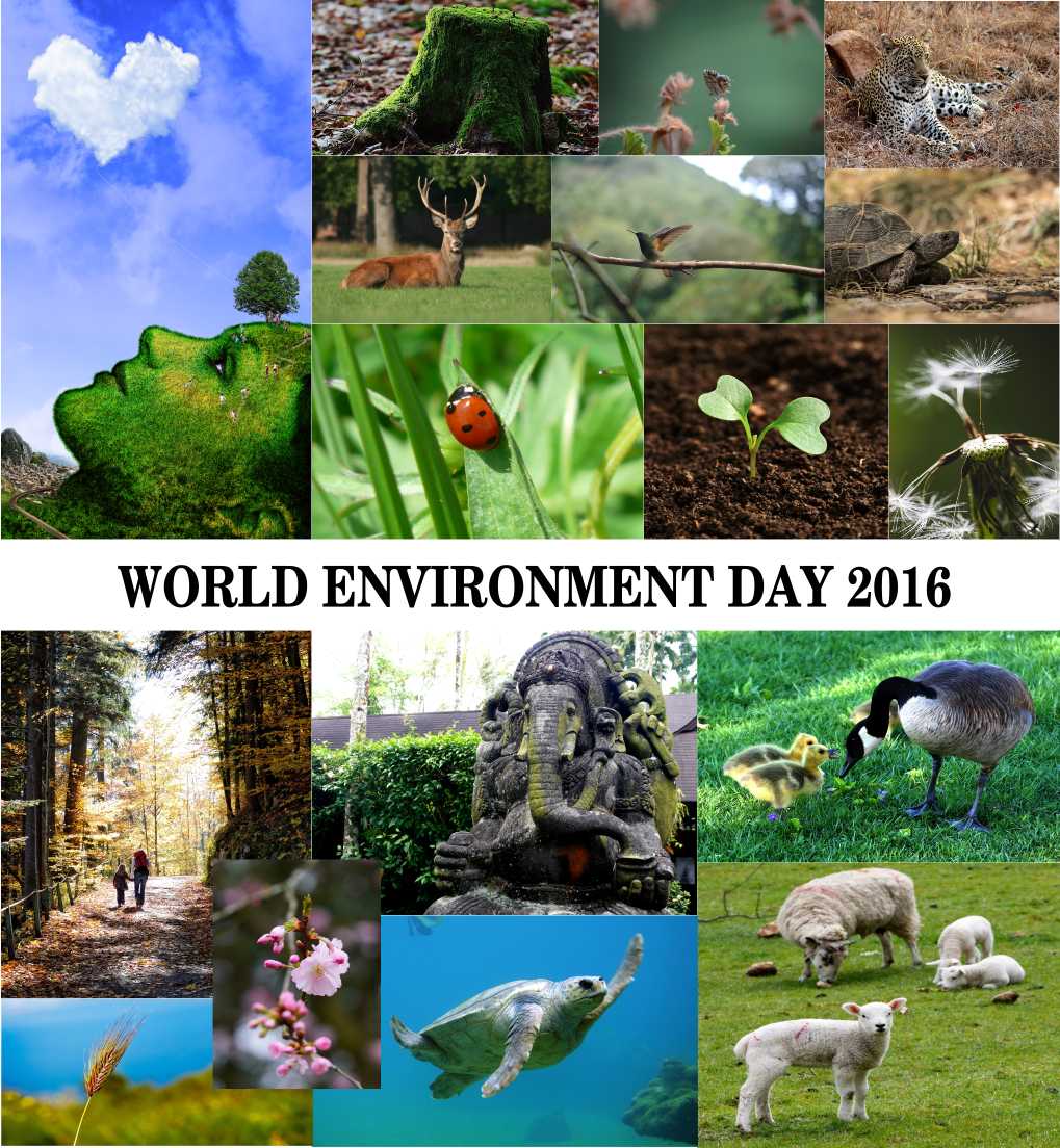 الدرس الثاني: من الطبيعة الى مواد من صنع الانسان by هنادي ابو شيخة - Illustrated by هنادي ابو شيخة - Ourboox.com