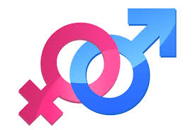 Dreams Have No Gender by Lina Kalliontzi - Illustrated by eTwinners - Ourboox.com