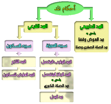 احكام المد by mariam shawesh - Ourboox.com