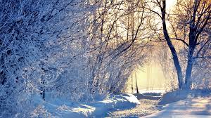 فصل الشتاء by saja - Ourboox.com