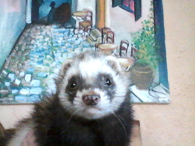 All About Me- Danel Talor by Danel Talor - Ourboox.com